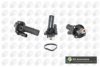 BGA CT5073 Thermostat, coolant